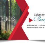 CATÁLOGOS